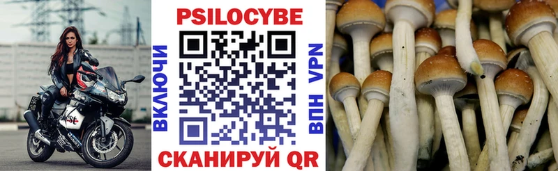 как найти наркотики  Верея  Галлюциногенные грибы прущие грибы 