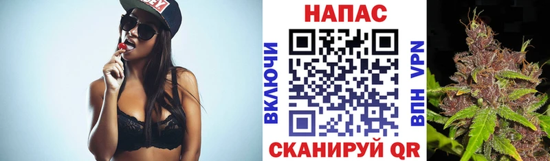 Канабис OG Kush  закладки  Верея 